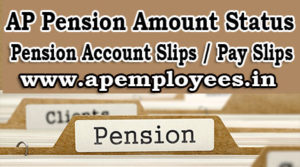 AP Pensioners Pension Amount Status Account Slips